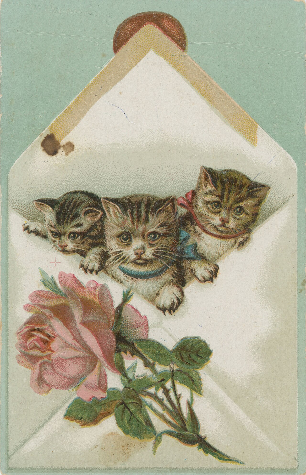 Blade Kitten